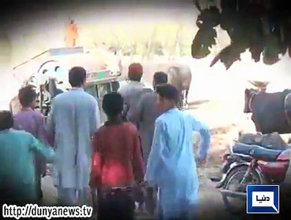 Toba Tek Singh, Two arrested for selling donkey meat