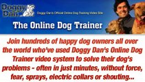 Training And Dog - The Online Dog Trainer