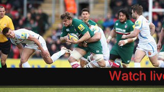 cani watch online rugby match