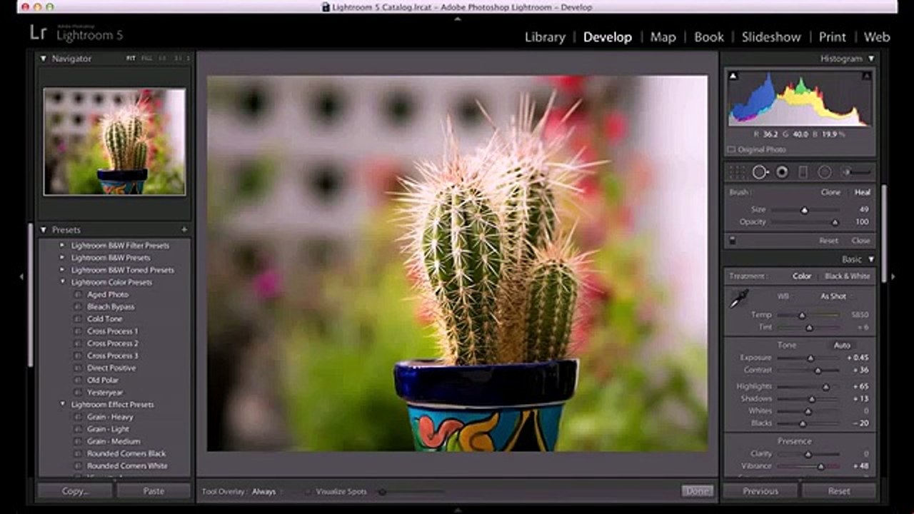 Adobe PhotoShop LightRoom 5 Keygen and Crack Download (mediafire)