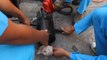 Sauvetage d'un chiot coincé dans un tuyau en métal