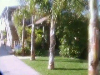 North Mission Road - Coded Diary