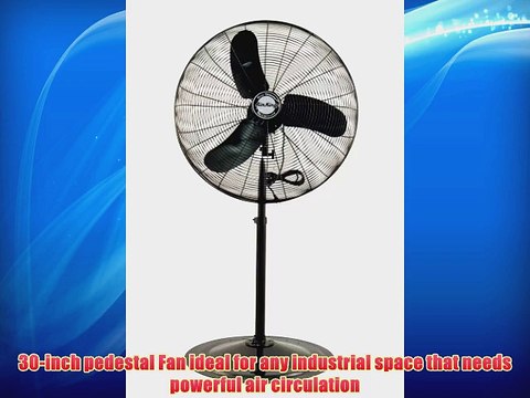 Air King 9175 30-Inch Industrial Grade Oscillating Pedestal Fan