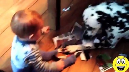 Funny videos 2015 - Babies Laughing at Dogs.mp4