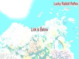 Lucky Rabbit Reflex Cracked (lucky rabbit reflex walkthrough 2015)