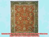 Safavieh Old World Collection OW117A Hand-Knotted Wool Area Rug 9-Feet by 12-Feet Copper and