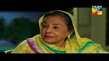Digest Writer Episode 24 Part 2 HUM TV Drama Mar 14, 2015