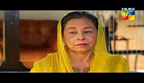 Digest Writer Last Episode 24 Part 1 HUM TV Drama Mar 14 2015