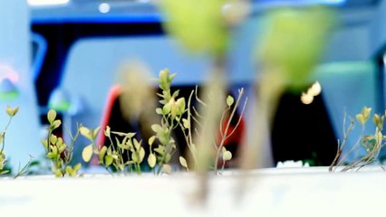 Sara Sahar - Dil Beqarar OFFICIAL VIDEO DH