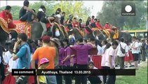 Thailand celebrates Elephant Day