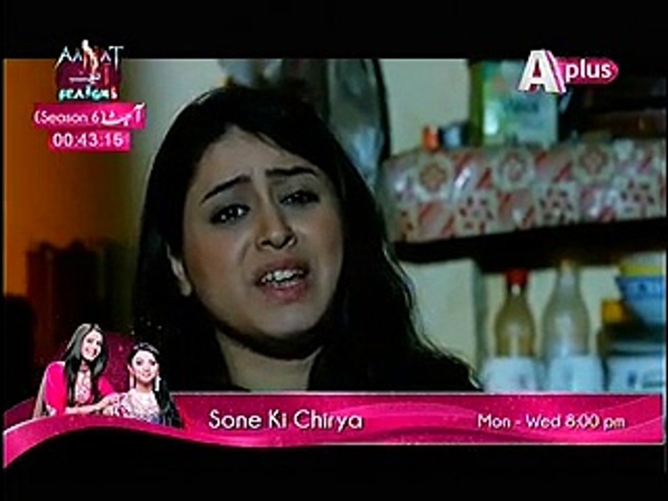 Kaneez Episode 56 Part 1 on Aplus