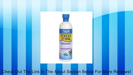 API Stress Zyme, 16-Ounce Review