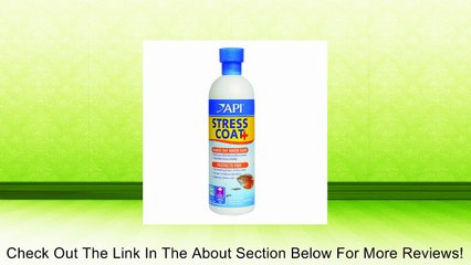 API Stress Coat Water Conditioner Review