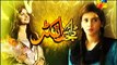 Digest Writer Last Episode 24 Full High Quality on Hum Tv - March 14
