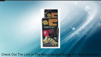 Zoo Med Nightlight Red Reptile Bulb 60 Watts Review