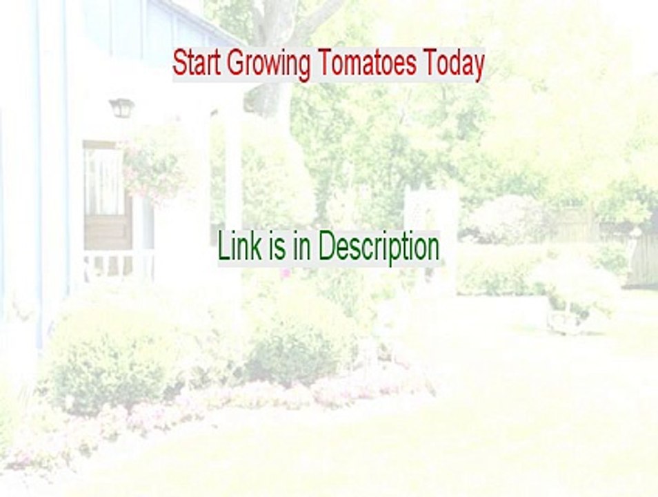 Start Growing Tomatoes Today Review - See my Review 2015