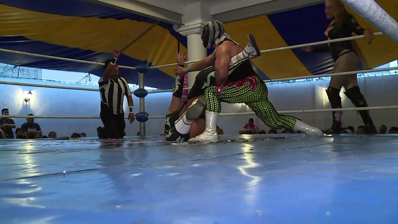 Transvestites wrestle for place in Mexican luch...