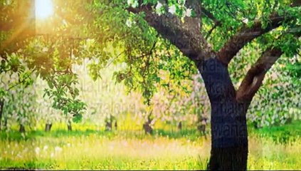 Życzenia urodzinowe