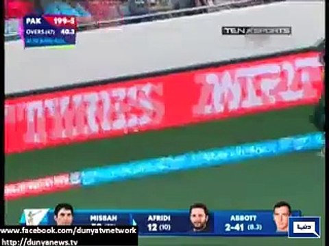 Dunya News - Aussies raise Pakistan slogans, Dil Dil Pakistan slogans at US Embassy