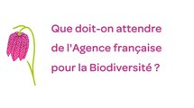 La loi biodiversité et l'Agence française de la biodiversité
