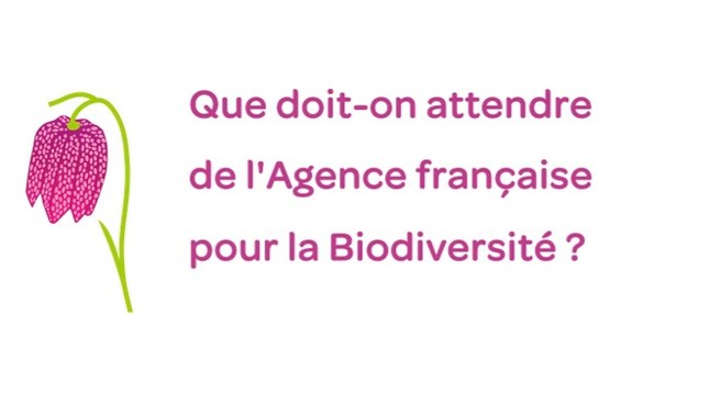 La loi biodiversité et l'Agence française de la biodiversité