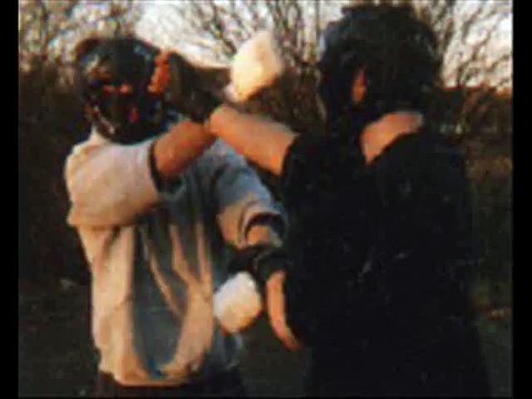 Inspiration of Ving Tsun Verios scene