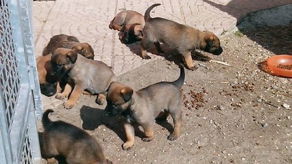 Be Aware H's @ STANDBY!