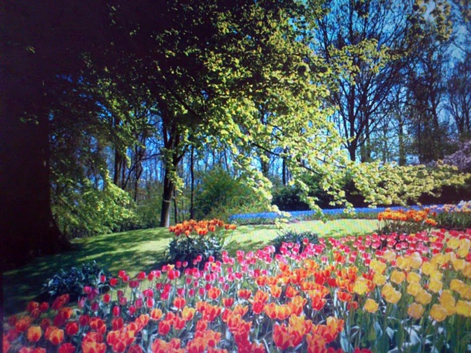 cantaor flamenco actual | a mi mujer ...visíteme en http://cancionesacapela.comuf.com/