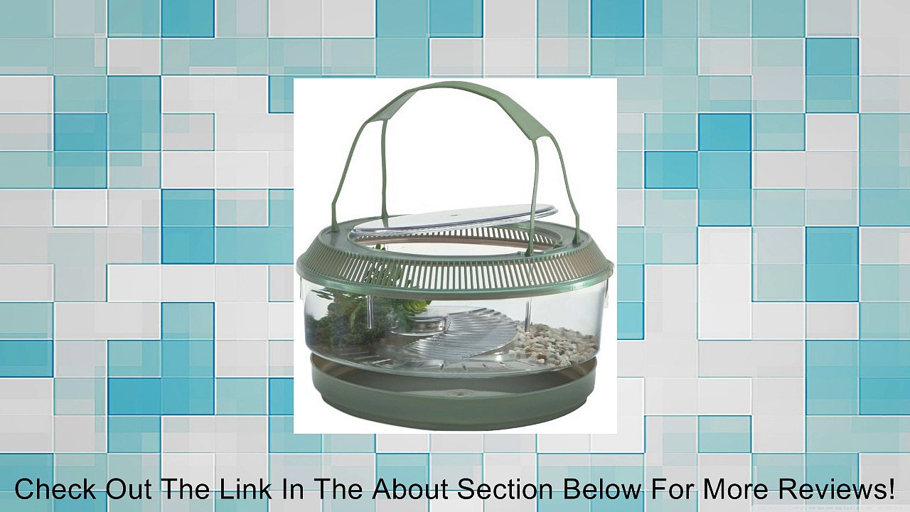 Lee's Fire Belly Landing, Round w/Lid, Handle, Tray, Plant Review