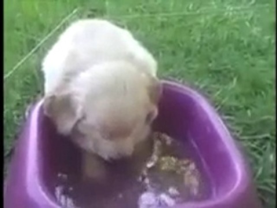 VID-20150220-WA0001.mp4