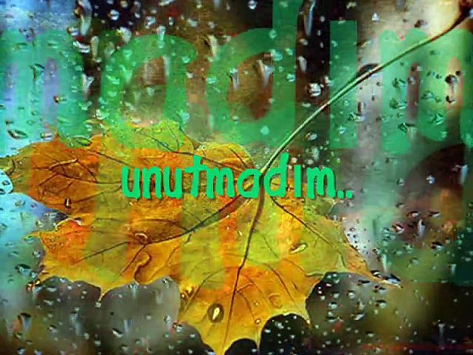 UNUTAMA BENİ // ÖMER FARUK DEMİRAL