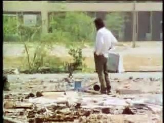 bob marley revolution