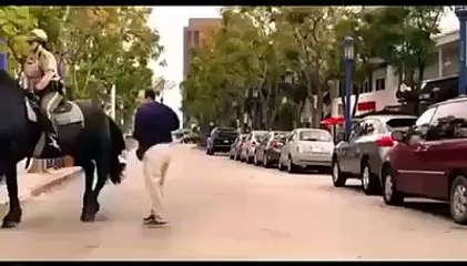 What Can Be Worst Then This When You Tamper A Horse Like That