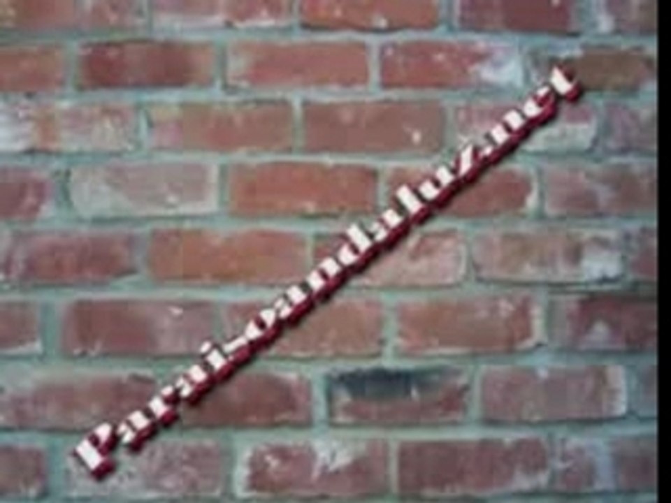 Videoclip - Don Omar - Loba - Reggaeton