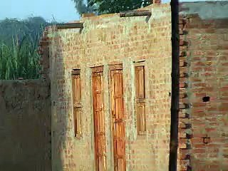 EH dairy farm 419jb gojra (86) ANIMALS