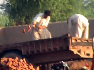 EH dairy farm 419jb gojra  (87) ANIMALS