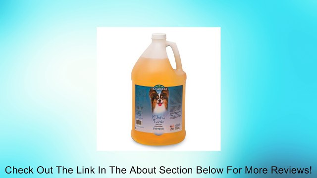 Bio-Groom Protein Lanolin Shampoo, 12 oz Concentrate 4:1 Review