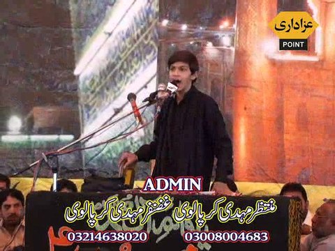 Zakir Hazber Ali Naqvi Jalsa Zakir qazi Wassem Multan 13 March 2015