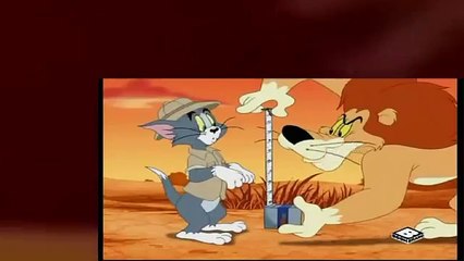 Las Aventuras de Tom y Jery,Eres un Leon
