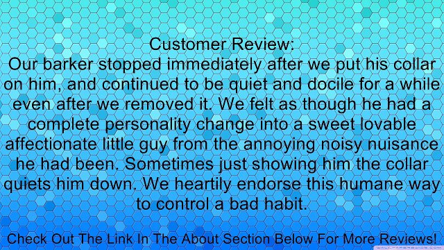 PetSafe Basic Bark Collar, PBC-102 Review