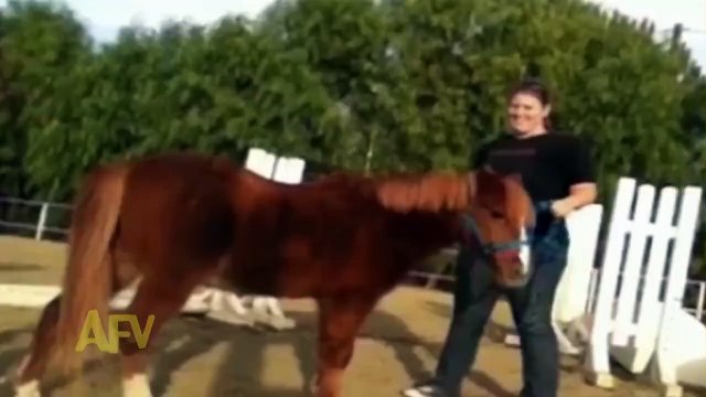 Elle tente de Monter à Cheval mais ce qui lui arrive est à Mourir de Rire
