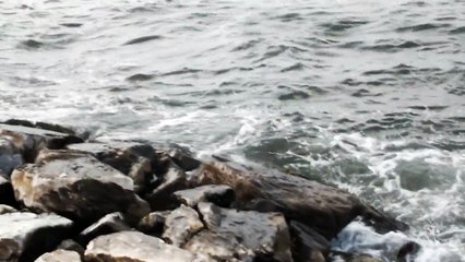 Sahra Sulh - Sargı 2014 (Video Clip)