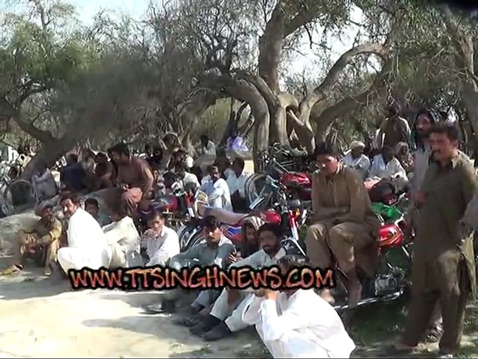 ٹوبہ ٹیک سنگھ میں بیل دوڑ کے دلچسپ مقابلے
