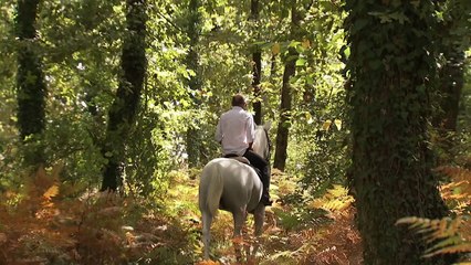 OHA- Oflu Hoca'yı Aramak Fragmanı İzle