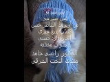 بسبس نو - مجموعة فنانات