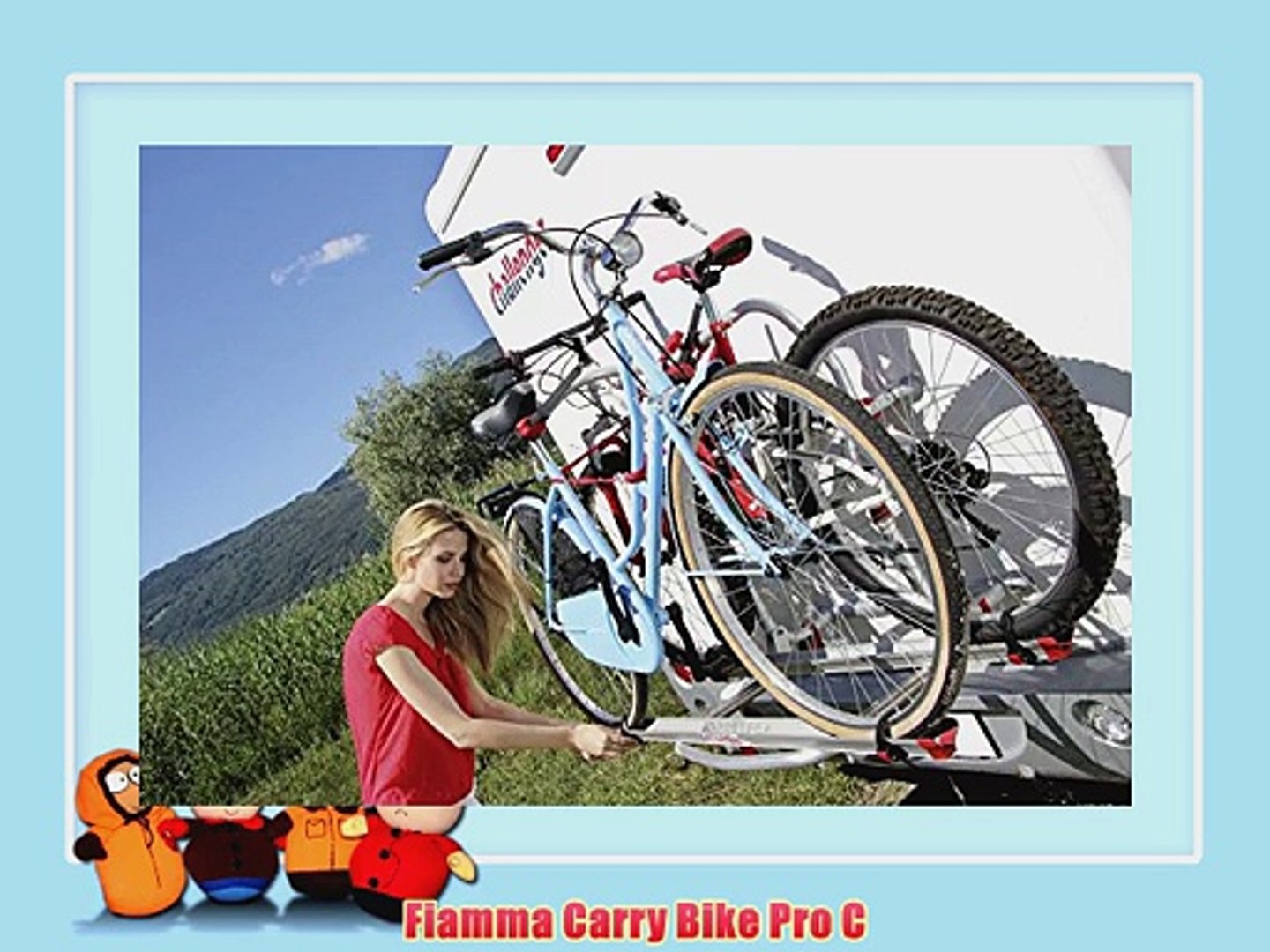 fiamma pro c bike rack