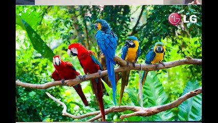 Must have Future Gadgets 2014 video by every news