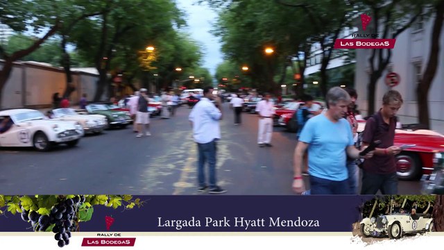 Rally de Las Bodegas 2015 - Mendoza - Día 2