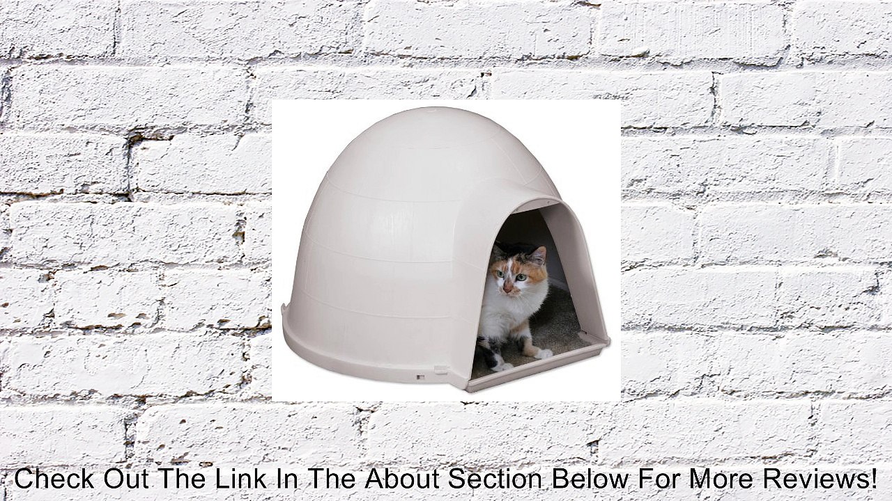 Petmate  Kitty Kat Condo, Mouse Gray Review
