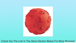 JW Pet Company Giggler Ball Dog Toy, Big, (Colors Vary) Review